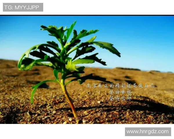 滑板之路上的坚持与梦想：杨娜的深度对话与人生启示